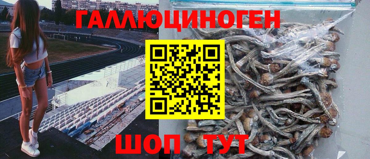Галлюциногенные грибы GOLDEN TEACHER Ефремов