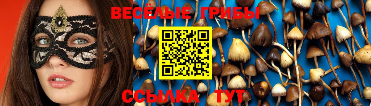Галлюциногенные грибы MAGIC MUSHROOMS  Вход с VPN  Ефремов 